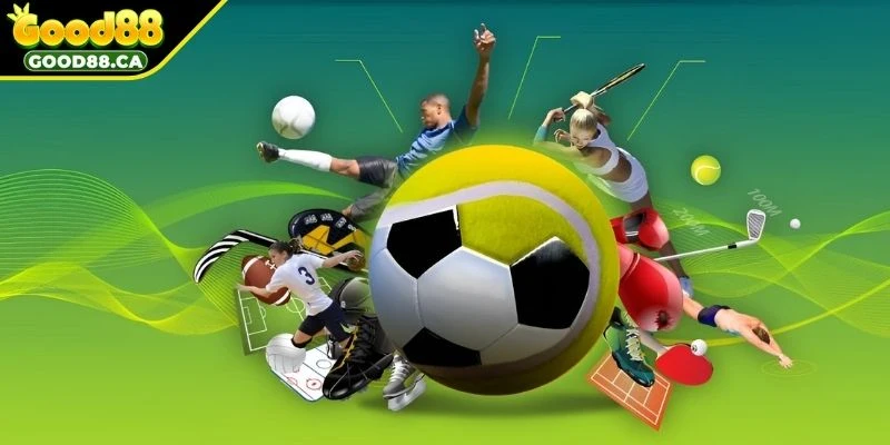 Sức hút của thể thao đối với người hâm mộ